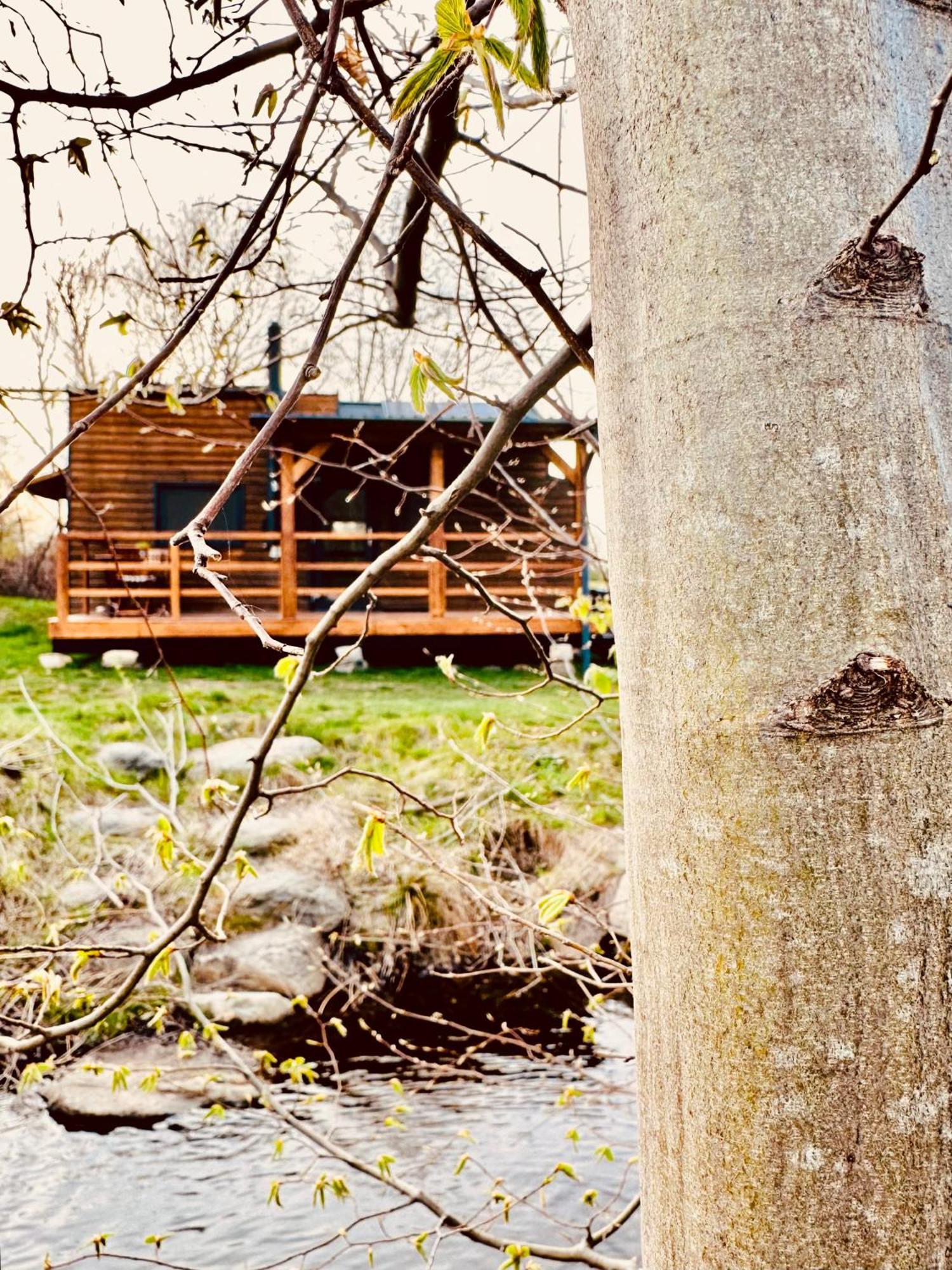 Tiny Home Dejani Buitenkant foto